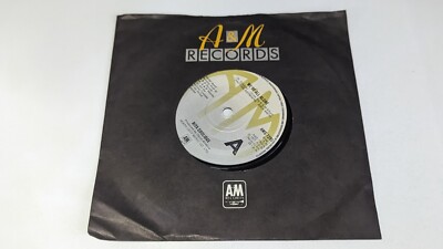 Rita Coolidge   We're All Alone Vinyl 7'' Single