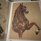 Bild 7 von 15