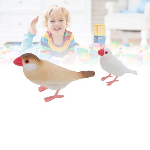 4Pcs Finch Bird Life Cycle Figures For Kids PVC Animal Growth Cycle Toys - Picture 10 of 24