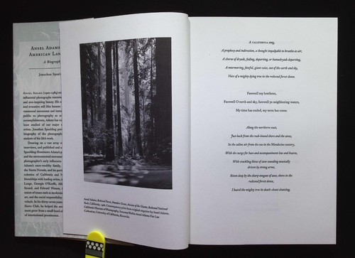 Ansel Adams & the American Landscape : A Biography by Jonathan Spalding, 1995 HB - Picture 10 of 20