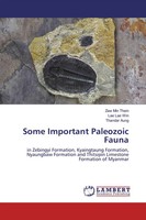 Some Important Paleozoic Fauna Zaw Min Thein (U. A.) Taschenbuch Englisch 2019
