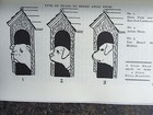 Picture 4 of 4