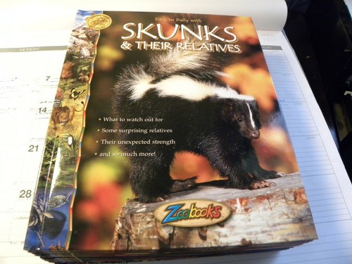 ZOOBOOKS Skunk Insects Butterfly Animal Wonders Champions Babies Sharing World - Picture 2 of 9
