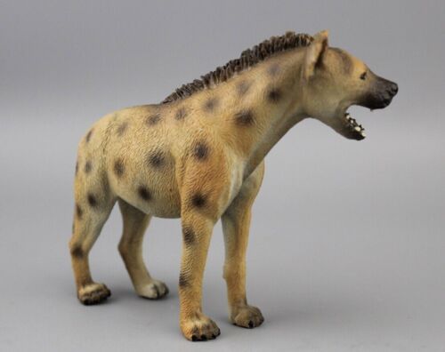 Hyena for 1/6th Scale 12" Action Figure 1:6 New # - Picture 3 of 8