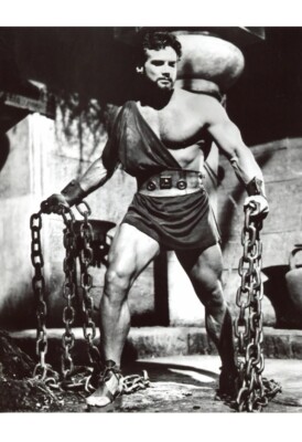 Steve Reeves Hercules schwarz-weiß 4x6 Bild Celebrity Print