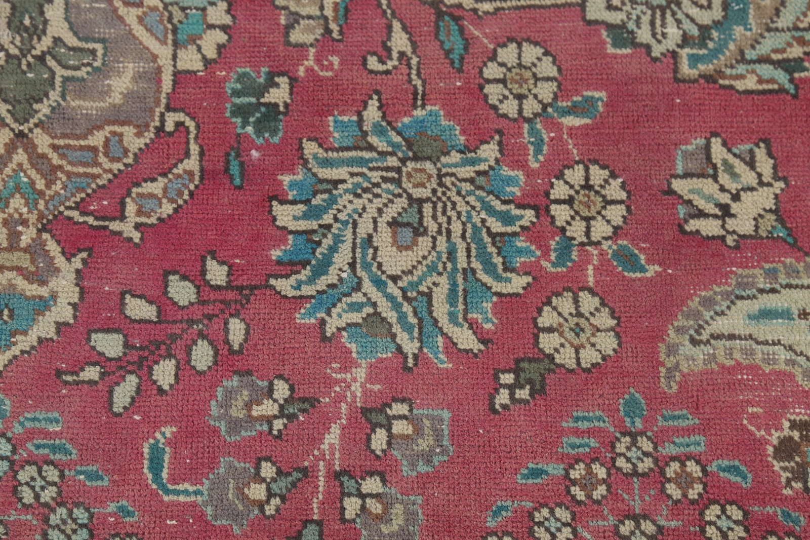 Picture 10 of 20