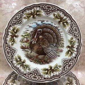 THE-VICTORIAN-ENGLISH-POTTERY-1-TURKEY-THANKSGIVING-8-5-034-SALAD-PLATE-NEW