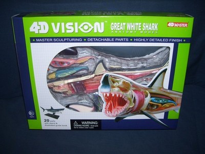 4D Vision Great White Shark Anatomy Model New Open Box 2008 | eBay