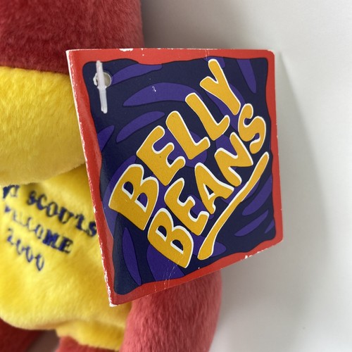 Mary Meyer GIRL SCOUTS GSA Welcome 2000 MILLIE Dragon Belly Beans 10" Plush - Picture 6 of 10