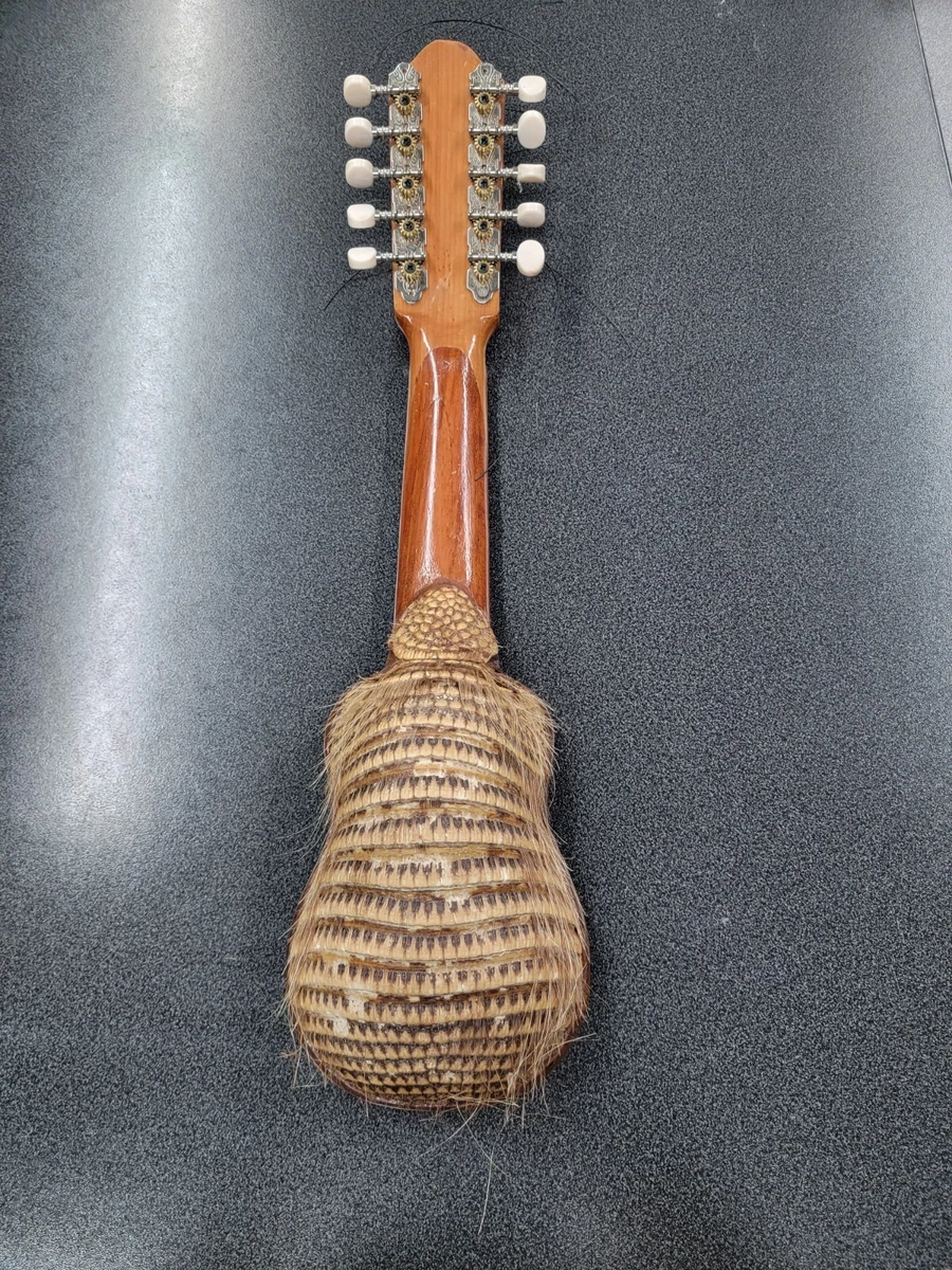 Charango armadillo online