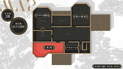 ARIAさん専用【Nintendo Switch】 Aria Iwakura limited edition Nintendo Switch From Japan NEW