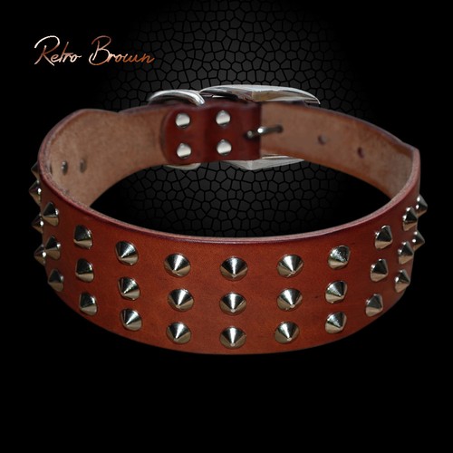 Collare cuoio cane Borchie taglia grande piccola Nero Pitbull Bulldog Rottweiler - Foto 3 di 14