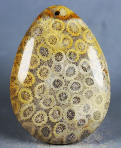 170Ct Natural Chrysanthemum Jade Coral Fossil Pendant Specimen - Picture 10 of 12