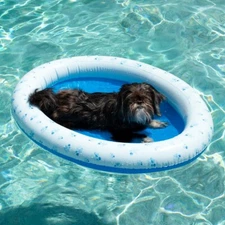 INFLATABLE PET FLOAT for Small to Medium Dog or Cat PVC Pool Candy