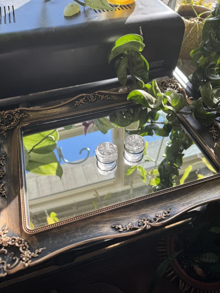 "Tapones araña de vidrio de resistencia industrial tapones de Halloween tapones de temporada espeluznantes 1"" IS" Foto 2 de 4