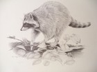 Picture 4 of 9