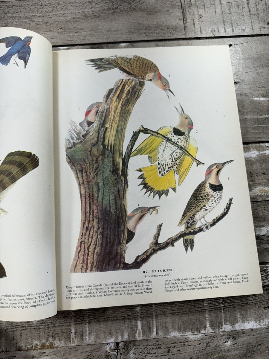1946 Naturalist Book 