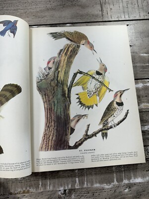 1946 Naturalist Book 