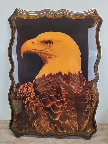 Vtg Eagle on Wood Lacquered Wall Picture Art Decor Bald Eagle America 22"x16"