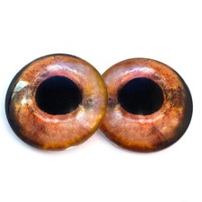 Pair Wild Fish Inspired Glass Eyes Jewelry Doll Taxidermy Flatback Cabochons
