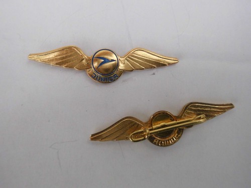 2 mal Anstecker , Pins ,Brosche, Anstecknadel , Inter Flug ? , Flug Begleiter