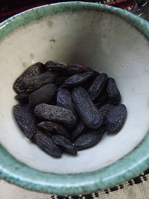 Tonka Beans - 5 pieces - Dypterix odorata - Wiccan Magic Spice! Y 001