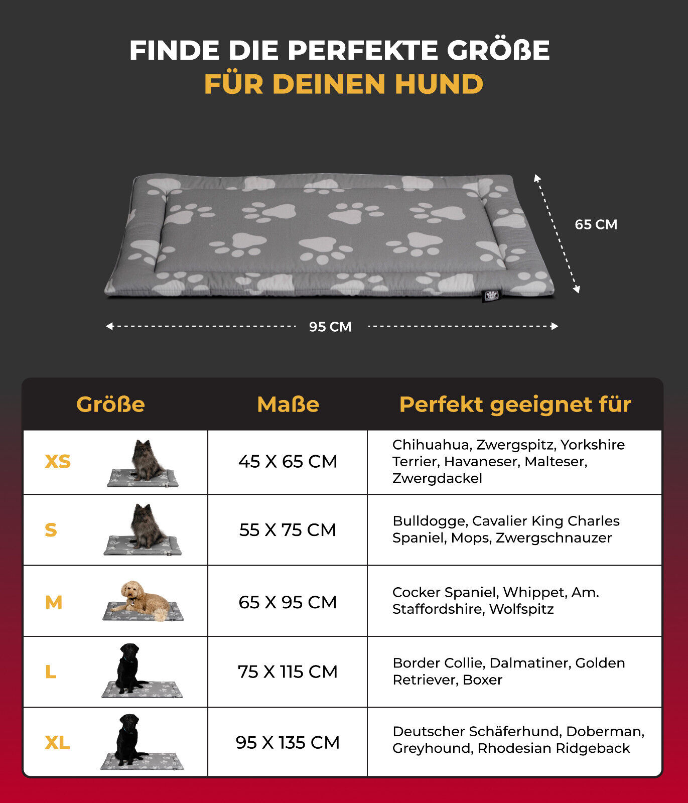 Bild 22 von 36
