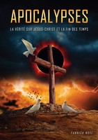 Apocalypses La VéRité Sur JéSus-Christ Et La Fin Des Temps Yannick Richard Buch