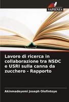 Akinmadeyemi Joseph Olofintoye | Lavoro Di Ricerca In Collaborazione Tra Nsdc...