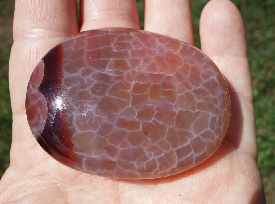 Impresionante PIEL DE SERPIENTE ÁGATA Cristal Impresionantes Colores Piedra de Palma Pulida En Venta Foto 2 de 4