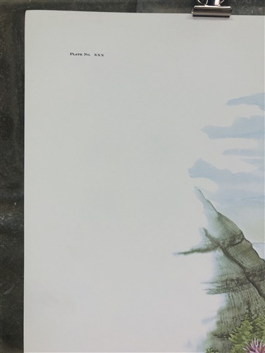 Picture 5 of 9
