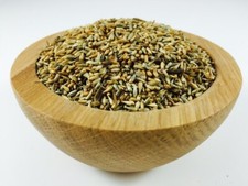 Apamarg Seeds,Achyranthes Aspera,Latjira Beej-100gm