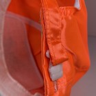 Bild 11 von 12