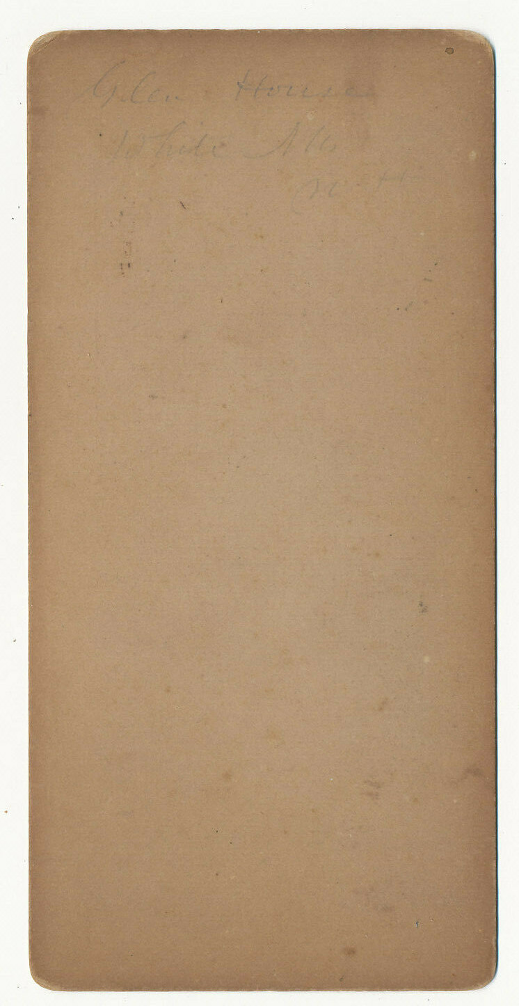 White Mountains NH * Glen House Hotel 1870s Stereoview eBay