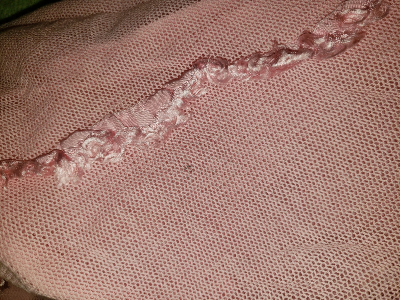 Picture 12 of 12