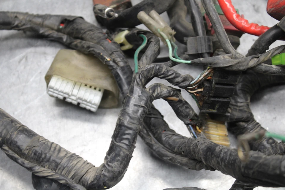 93-00 HONDA GOLDWING 1500 GL1500SE MOTOR PRINCIPAL CABLEADO ARNÉS TELAR BB700 Foto 3 de 4