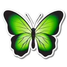 Green Butterfly Colorful Car Laptop Phone Vinyl Sticker - SELECT SIZE