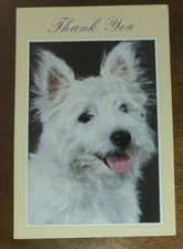 Images  Editions blank Thank you Card, cute puppy