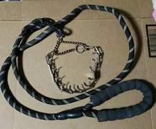 Sprenger Training Collar - w/ Leash - Lead Strap