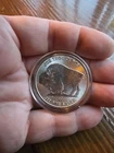 1 oz Silver Buffalo Round