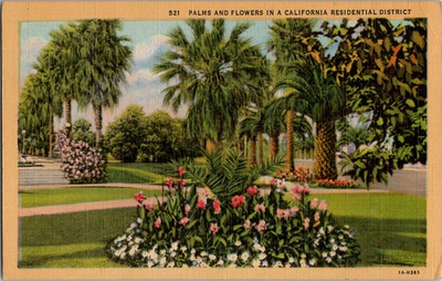 #ad Antique VTG Postcard Palms and Flowers in a California Residential District Post $4.99