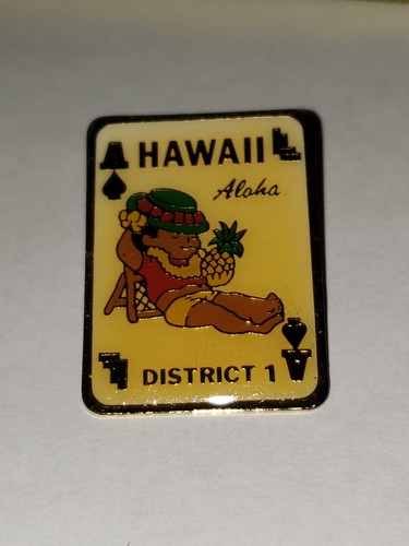 Vintage Little League World Series Pin District 1 Hawaii Ace Card Kid Relaxing - Picture 1 of 8