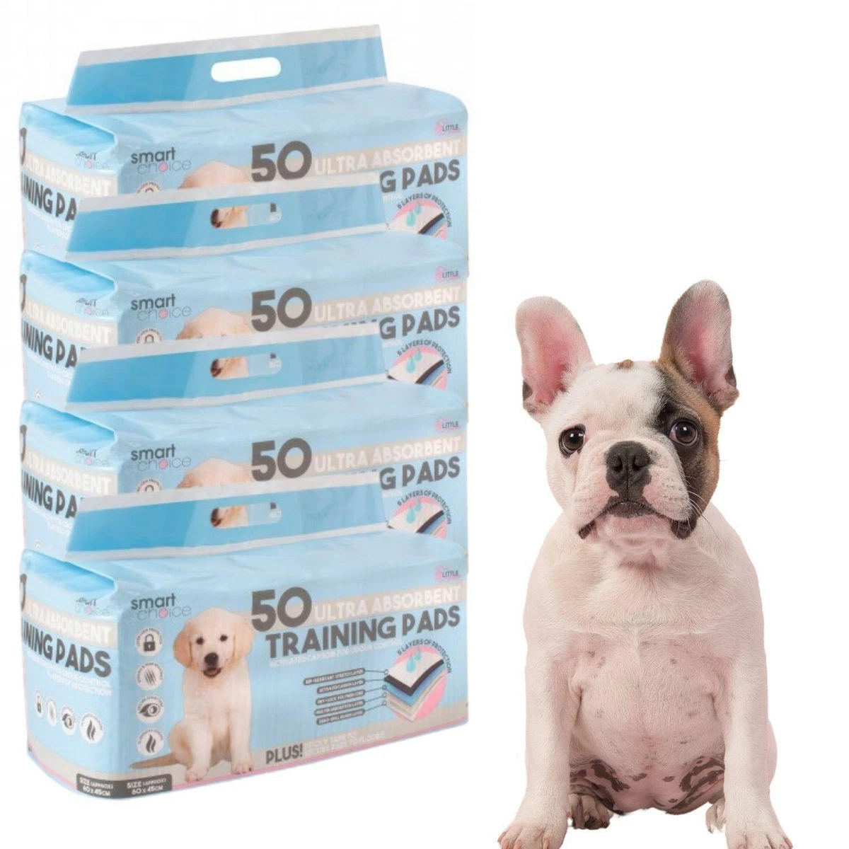 Dog 2024 pad training