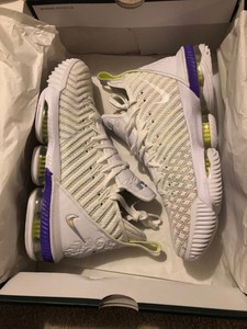 lebron xvi buzz