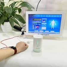 2025 New Quantum Magnetic Resonance Body Analyzer 52 Reports Updated Version, US