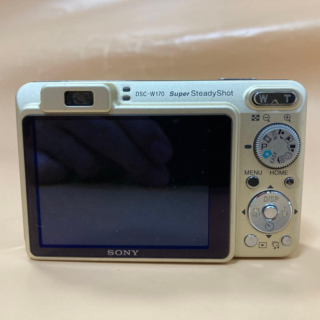 Sony Cyber-shot DSC-W170 10.1MP Digital Camera - Gold (with MS Pro