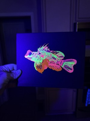 UV-reaktives 3D-gedrucktes Mandarinen-Wandbild 8 x 10