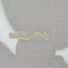 Bild 19 von 21