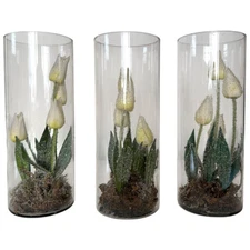 Set x3 Faux Frozen Iced Crystallized  Tulip Terrarium Winter Spring Table Decor