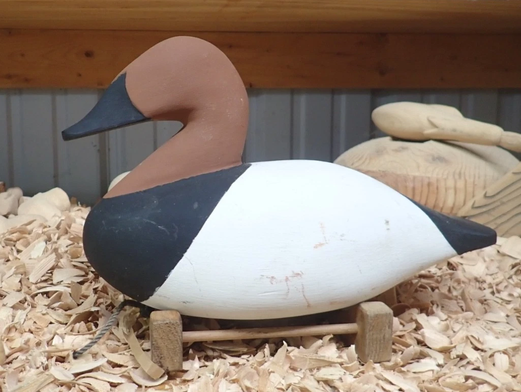 Solid Body Canvasback Vintage Hunting Duck Decoys for sale | eBay